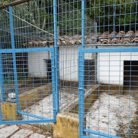 فيلا الفاسفي Horta De Pepinais المظهر الخارجي الصورة