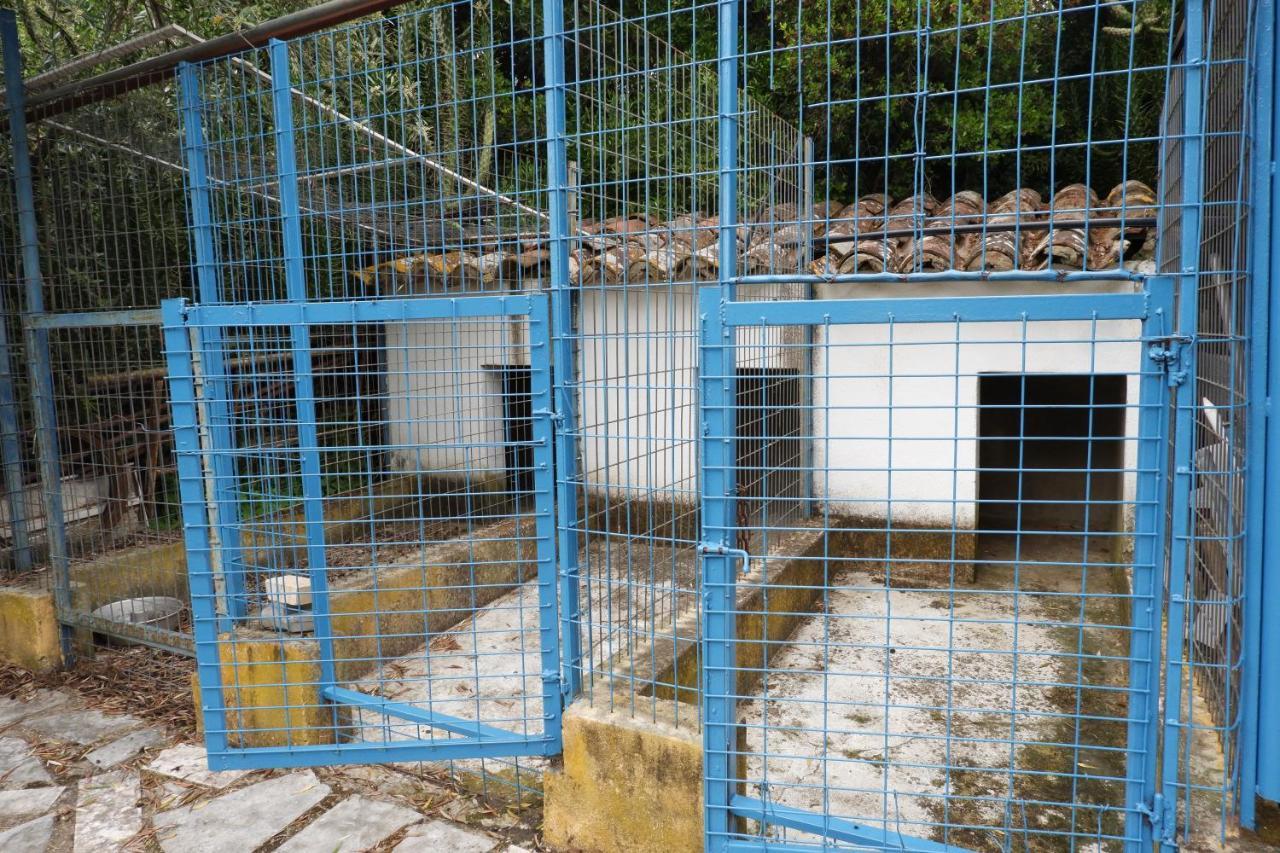 فيلا الفاسفي Horta De Pepinais المظهر الخارجي الصورة